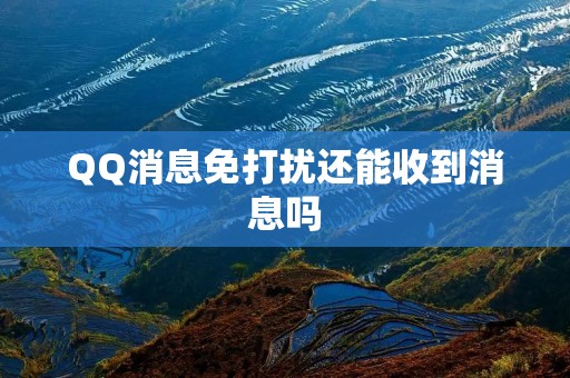 QQ消息免打扰还能收到消息吗：解析免打扰模式下的消息接收情况