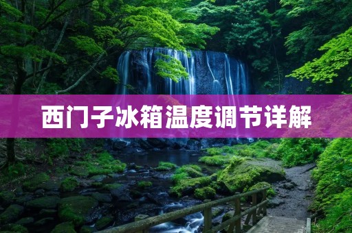 西门子冰箱温度调节详解：让食材保鲜更持久