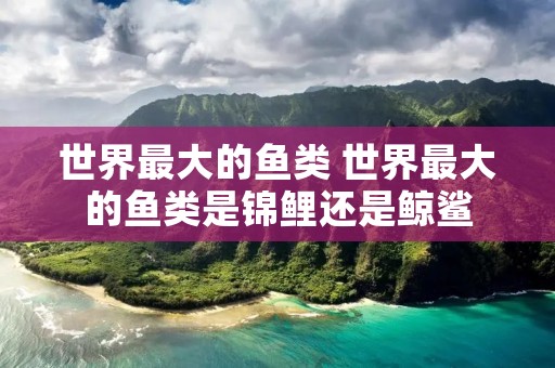 世界最大的鱼类 世界最大的鱼类是锦鲤还是鲸鲨 世界最大的鱼类 世界最大的鱼类是锦鲤还是鲸鲨