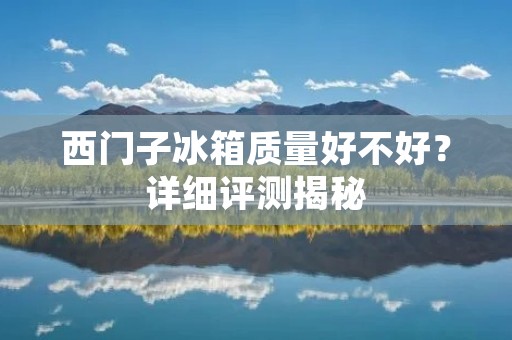 西门子冰箱质量好不好？详细评测揭秘