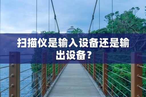 扫描仪是输入设备还是输出设备？