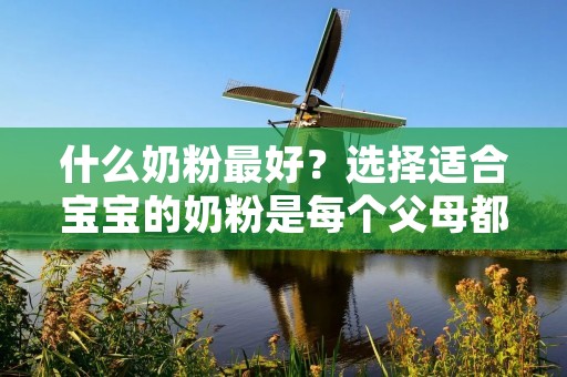 什么奶粉最好？选择适合宝宝的奶粉是每个父母都非常重视的问题。随着市场上奶粉品牌的不断增加，父母们往往会陷入选择困难。本文将从多个角度探讨什么奶粉最好，帮助父母们做出明智的选择。