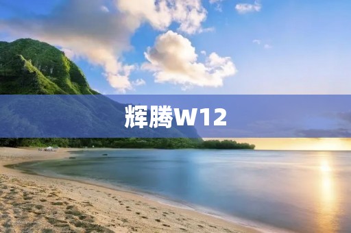 辉腾W12:豪华与性能的完美结合 辉腾W12:豪华与性能的完美结合
