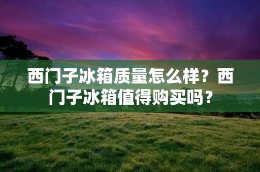 西门子冰箱质量怎么样？西门子冰箱值得购买吗？