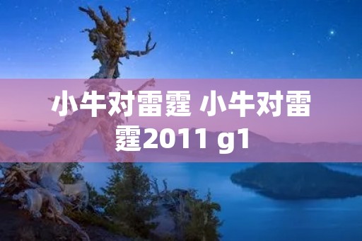 小牛对雷霆 小牛对雷霆2011 g1