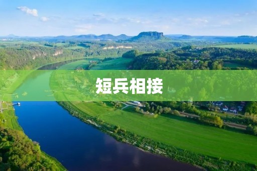 短兵相接:探索战场上的殊死搏斗