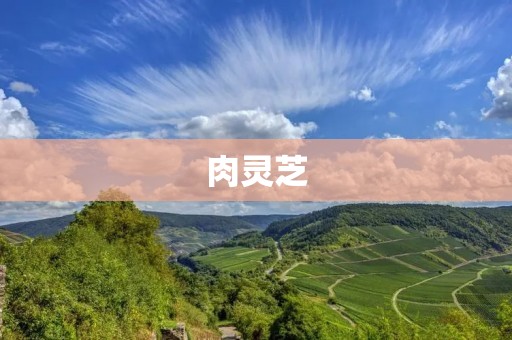 肉灵芝：探秘神奇的灵芝变种