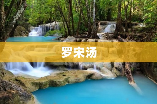 罗宋汤:一碗美味的传统西式汤品 罗宋汤:一碗美味的传统西式汤品