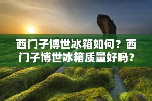 西门子博世冰箱如何？西门子博世冰箱质量好吗？西门子博世冰箱值得购买吗？这些都是消费者在购买冰箱时常常关心的问题。下面将对西门子博世冰箱进行详细描述，以帮助消费者更好地了解该产品。