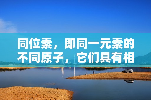 同位素，即同一元素的不同原子，它们具有相同的原子序数（核电荷数）但不同的质量数（核子数）。同位素是由于原子核中的中子数不同而形成的。