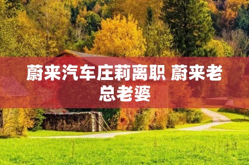 蔚来汽车庄莉离职 蔚来老总老婆 蔚来汽车庄莉离职 蔚来老总老婆