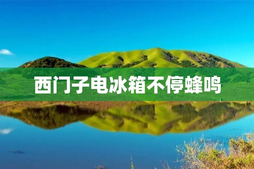 西门子电冰箱不停蜂鸣：详细描述