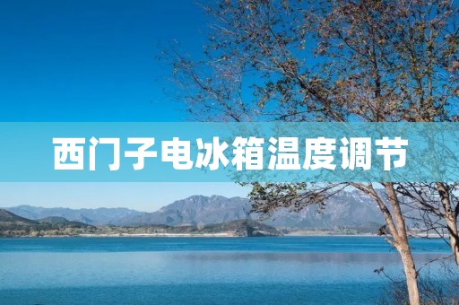 西门子电冰箱温度调节:如何保持食物新鲜度和节能效果? 西门子电冰箱温度调节:如何保持食物新鲜度和节能效果?