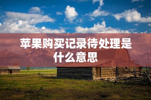 苹果购买记录待处理是什么意思