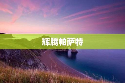 辉腾帕萨特:德系豪华座驾的尊贵代表 辉腾帕萨特:德系豪华座驾的尊贵代表