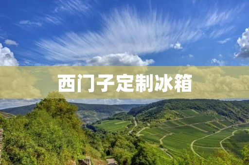 西门子定制冰箱：为您打造个性化冷藏体验