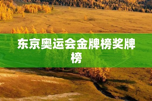 东京奥运会金牌榜奖牌榜：中国队再次夺得榜首，刷新历史记录
