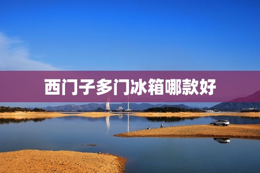 西门子多门冰箱哪款好：选择适合自己需求的高品质冰箱