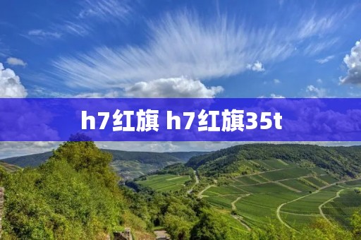 h7红旗 h7红旗35t