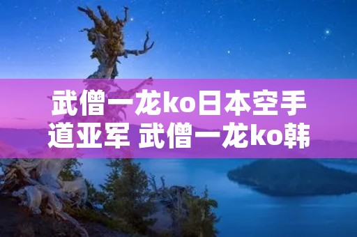 武僧一龙ko日本空手道亚军 武僧一龙ko韩国跆拳道