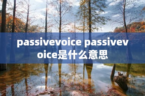 passivevoice passivevoice是什么意思