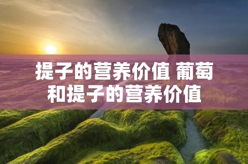 提子的营养价值 葡萄和提子的营养价值