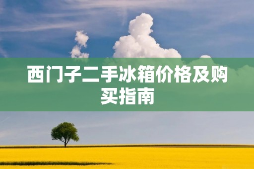 西门子二手冰箱价格及购买指南 西门子二手冰箱价格及购买指南