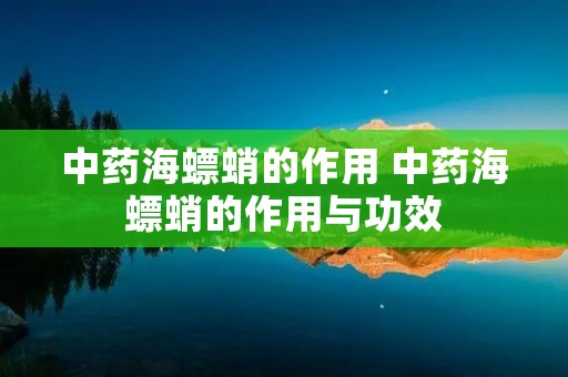 中药海螵蛸的作用 中药海螵蛸的作用与功效 中药海螵蛸的作用 中药海螵蛸的作用与功效