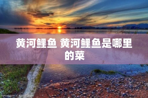 黄河鲤鱼 黄河鲤鱼是哪里的菜