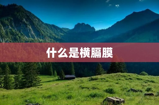 什么是横膈膜