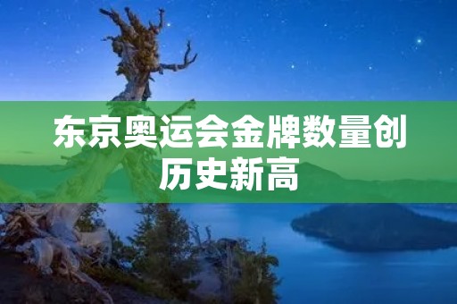 东京奥运会金牌数量创历史新高