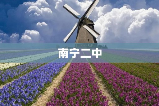 南宁二中:追求卓越的教育殿堂