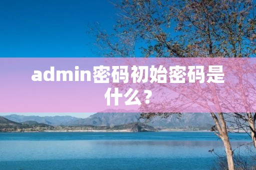 admin密码初始密码是什么?
