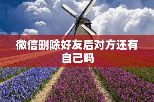 微信删除好友后对方还有自己吗