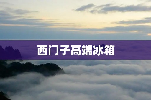 西门子高端冰箱:品质与科技的完美结合 西门子高端冰箱:品质与科技的完美结合