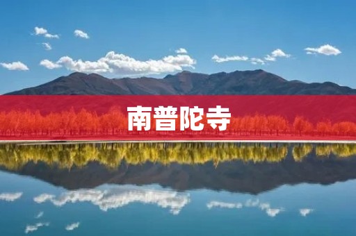 南普陀寺:寻觅心灵净土的圣地