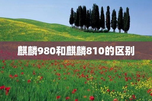 麒麟980和麒麟810的区别