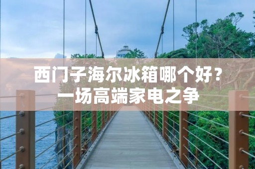 西门子海尔冰箱哪个好？一场高端家电之争