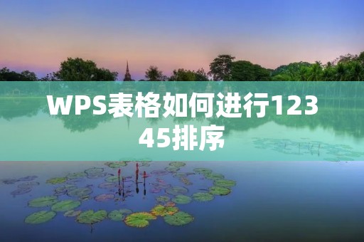 WPS表格如何进行12345排序
