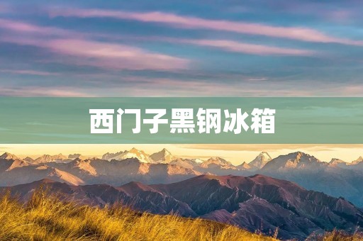 西门子黑钢冰箱:高品质与时尚并存的家电选择 西门子黑钢冰箱:高品质与时尚并存的家电选择