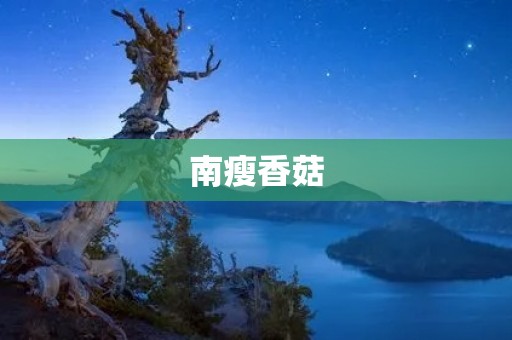 南瘦香菇:一种独特的食材