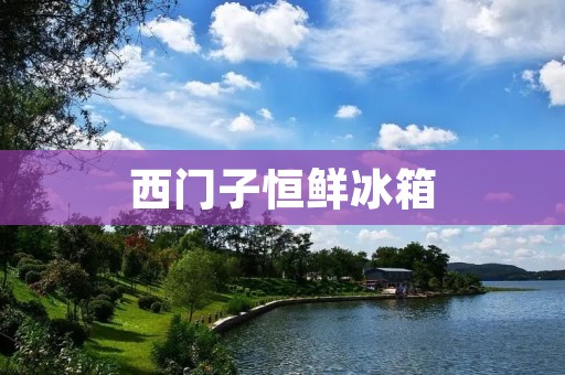 西门子恒鲜冰箱：高品质的冷藏解决方案