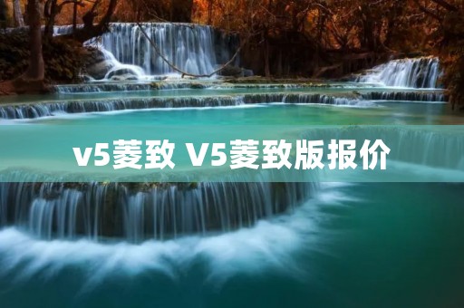 v5菱致 V5菱致版报价