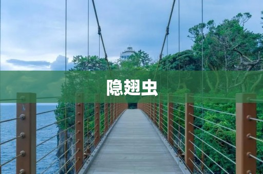 隐翅虫:探秘自然中的神秘生物