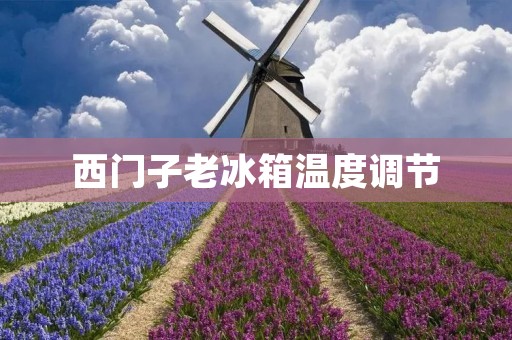 西门子老冰箱温度调节 西门子老冰箱温度调节