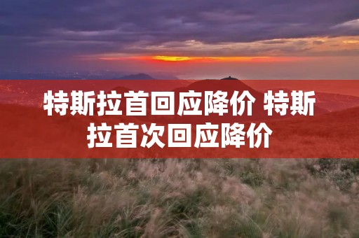 特斯拉首回应降价 特斯拉首次回应降价