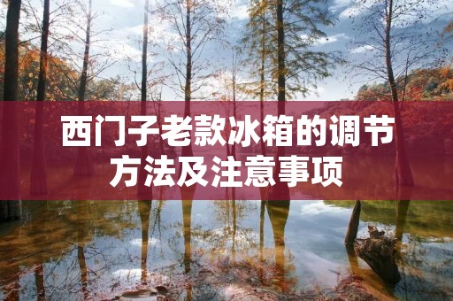 西门子老款冰箱的调节方法及注意事项