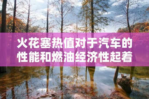 火花塞热值对于汽车的性能和燃油经济性起着重要的作用。火花塞是发动机点火系统的重要组成部分，通过产生火花点燃混合气体，使发动机正常运转。而火花塞的热值则决定了火花的能量大小，直接影响到发动机的工作效率和燃油消耗。