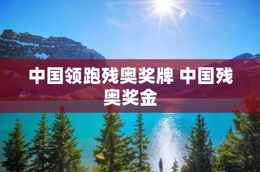 中国领跑残奥奖牌 中国残奥奖金