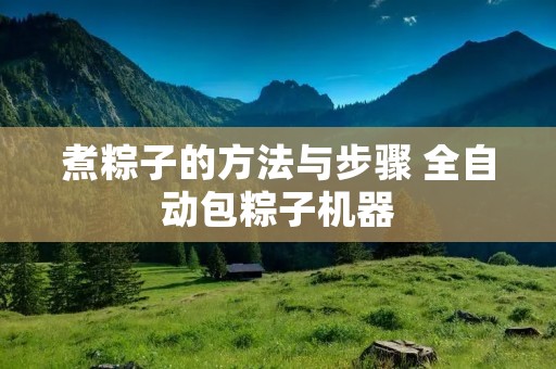 煮粽子的方法与步骤 全自动包粽子机器